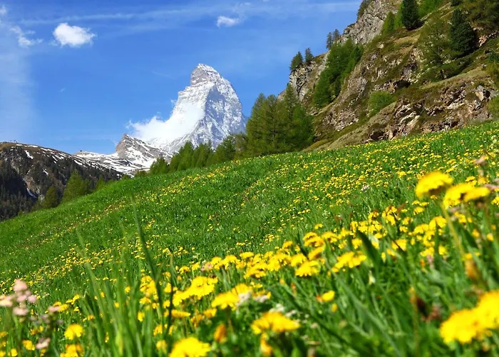 Breithorn By Interhome Lägenhet *