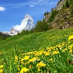 Breithorn By Interhome דירה *